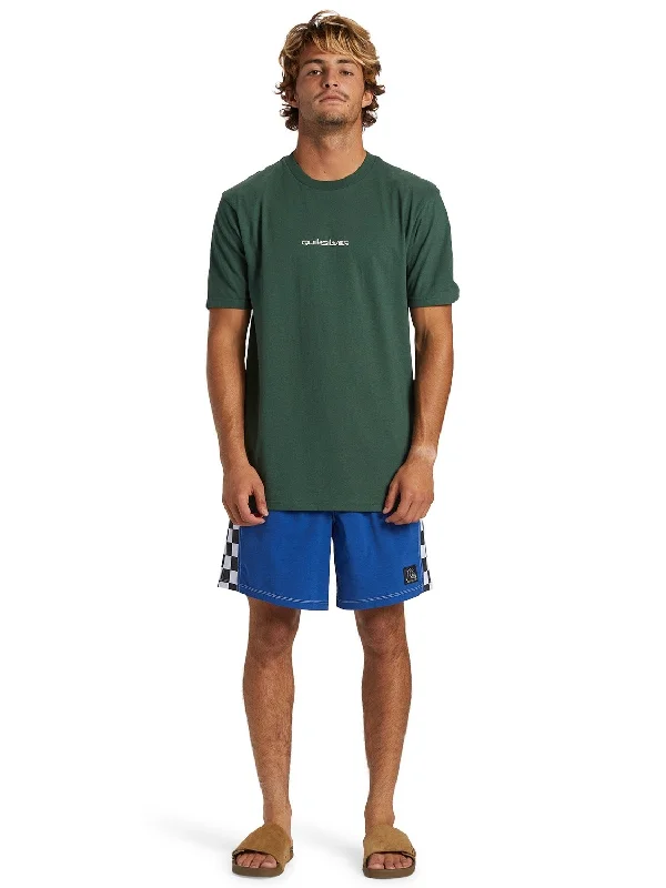 Quiksilver Men's Omni Logo DNA T-Shirt